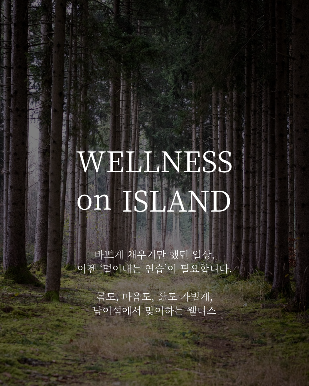 바쁘게 채우기만 했던 일상, 이젠 '덜어내는 연습'이 필요합니다. 몸도, 마음도, 삶도 가볍게, 남이섬에서 맞이하는 웰니스