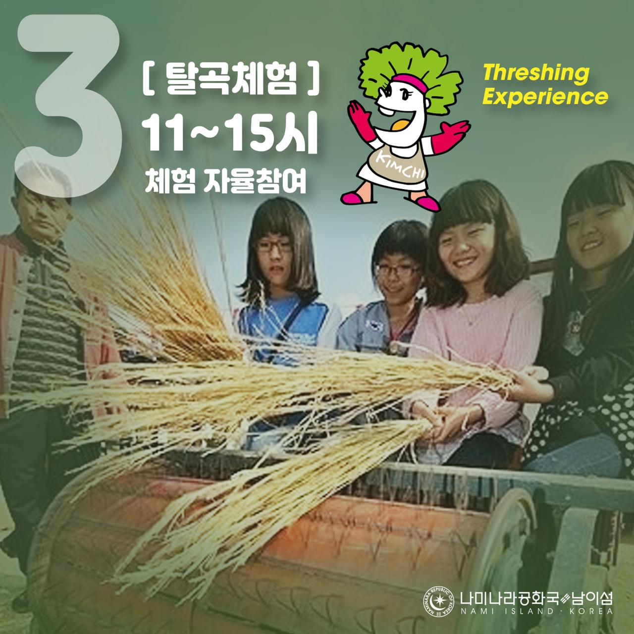 탈곡체험