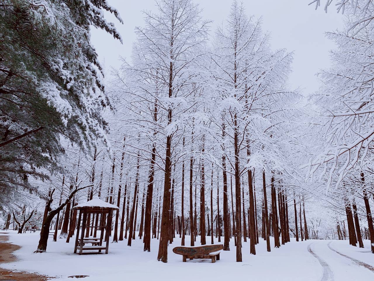 남이섬 트레킹 온 아일랜드