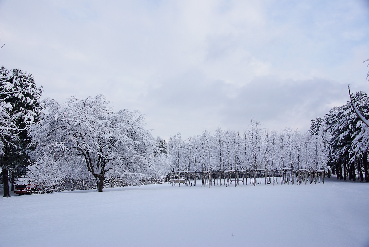 남이섬 트레킹 온 아일랜드